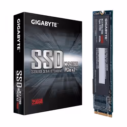 Gigabyte GP-GSM2NE8256GNTD, 256 Go, M.2, 1200 Mo/s