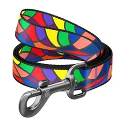Laisse Nylon VITRAGE 15mm Pour Chien - Assortis