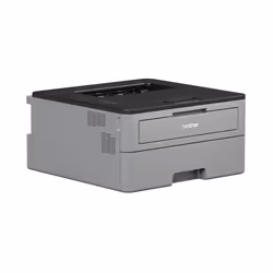 Brother HL-L2310D imprimante laser 2400 x 600 DPI A4 (HLL2310DG1)