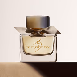 Burberry My Burberry 90 ml - Vue supplémentaire 3