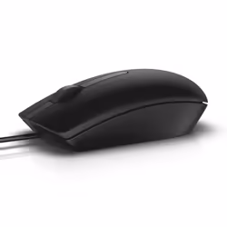 DELL MS116, Ambidextre, Optique, USB Type-A, 1000 DPI, Noir