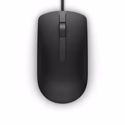 DELL MS116 souris Ambidextre USB Type-A Optique 1000 DPI