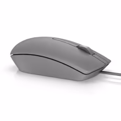 DELL MS116 souris Ambidextre USB Type-A Optique 1000 DPI