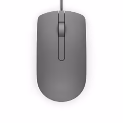 DELL MS116 souris Ambidextre USB Type-A Optique 1000 DPI