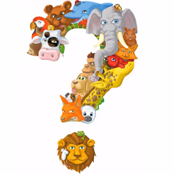 Asmodee Concept Kids Animaux - Vue supplémentaire 4
