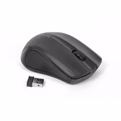 Omega OM-419, Ambidextre, Optique, RF sans fil, 1000 DPI, Noir