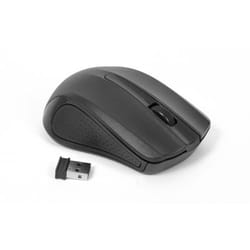 Omega OM-419 souris Ambidextre RF sans fil Optique 1000 DPI