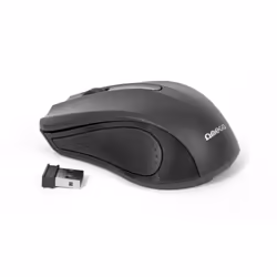 Omega OM-419 souris Ambidextre RF sans fil Optique 1000 DPI