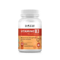 Bioherbs Vitamine B3 Nicotinamide 30 gélules
