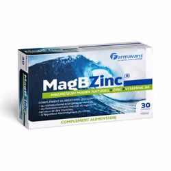 Farmavans MagBZinc Boite de 30 Gélules