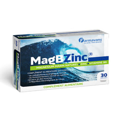 Farmavans MagBZinc Boite de 30 Gélules