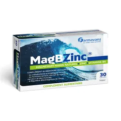 Farmavans MagBZinc Boite de 30 Gélules