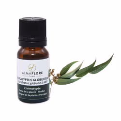 Huile essentielle d’eucalyptus (Globulus) 10ml Almaflore