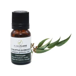 Huile essentielle d'eucalyptus (Globulus) 10ml Almaflore