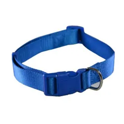 Collier Nylon Pour Chiens 16 mm - Bleu