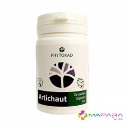 Phytokad Artichaut 60 Gélules
