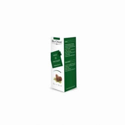 BIO ORIENT Huile Végétale de Pin d'Alep, 10ml