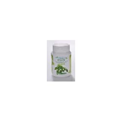 BIO GATRANA MORINGA 90 gélules