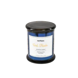 SEPTANIL BOUGIE PARFUMEE OUD ABSOLU 280GR