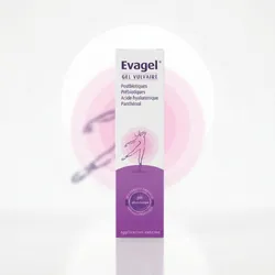 Evagel Gel vulvaire 60gr