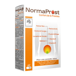 NormaProst 60 Gélules Vital