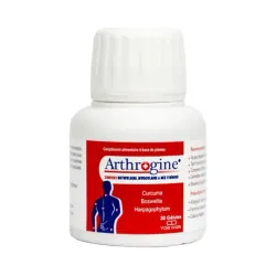 ARTHROGINE GELULE BOITE DE 30