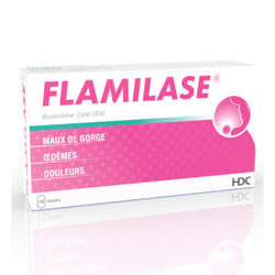 FLAMILASE 10 GÉLULES