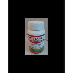 WELLNAT PROSTAWELL BT/60
