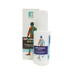 Galien Anti-Inflamatoire Et Analgesique Spray 50 ml