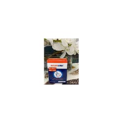 Immuno Boost 20 Gélules