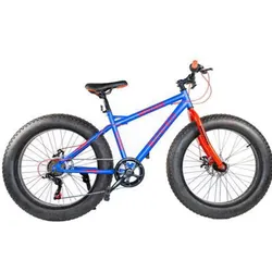 Bicyclette RODEO Fat Bike Mirage 24" - Gris (6024 FB)