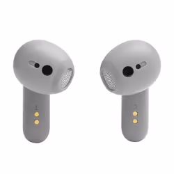 JBL LIVE FLEX Casque Sans fil Ecouteurs Musique Bluetooth Argent
