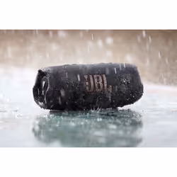 JBL CHARGE 5 Enceinte portable stéréo Rose 30 W - Vue supplémentaire 12