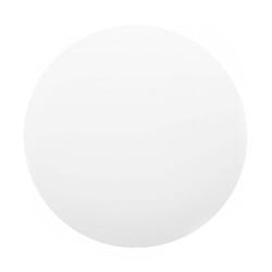 Xiaomi Smart LED Ceiling Light 450mm éclairage de plafond Blanc