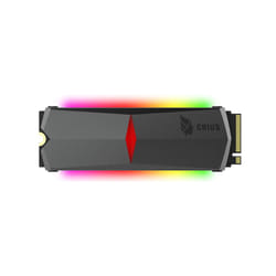 Hikvision Digital Technology E2000R M.2 256 Go PCI Express 3.0 3D TLC NVMe