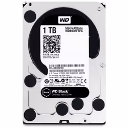 Western Digital Black 3.5" 1000 Go Série ATA III (WD1003FZEX)