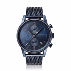 HUGO BOSS 7613272244114, Mâle, Acier inoxydable, Bleu