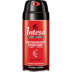 Intesa Deodorant Parfumé Ylang-ylang Hommes Déodorant spray 150 ml