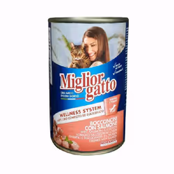Gatto MIGLIOR Salmone Pour Chats 405Gr