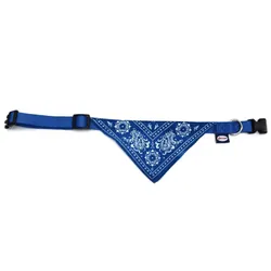 Collier Chien Record Bandana Bleu