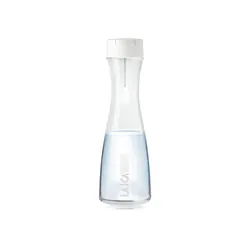 Laica B31AA01 filtre à eau Bouteille d'eau filtrante 1,1 L Transparent