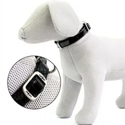 Collier Glossy Pour Chiens 50 x 20 mm - Noir