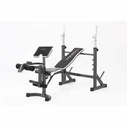Toorx WBX-90 banc de musculation Banc de musculation ajustable Dossier réglable Siège ajustable Gym, Maison Noir
