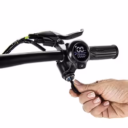 Vélo Électrique Actif Argento 25km/h - 10,4Ah - Noir - Vue supplémentaire 2