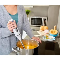 Taurus Bapi 1000 Inox Mélangeur par immersion 1000 W Gris, Blanc