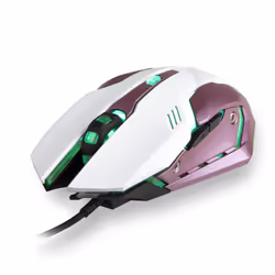 NGS GMX-100 souris Droitier USB Type-A Optique 2400 DPI