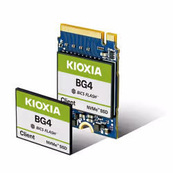 Kioxia BG4, 256 Go, M.2, 2200 Mo/s