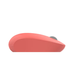 Inca IWM-241RT souris Droitier RF sans fil