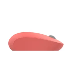 Inca IWM-241RT souris Droitier RF sans fil