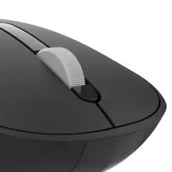 Inca IWM-241RS souris Droitier RF sans fil